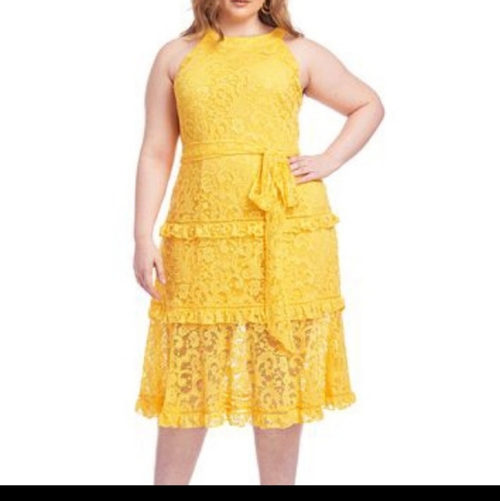 Rachael Roy Golden Glow Plus Size dress